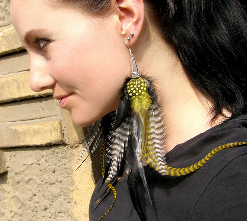 Yellow Zebra — foto 3