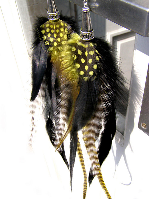 Yellow Zebra — foto 4