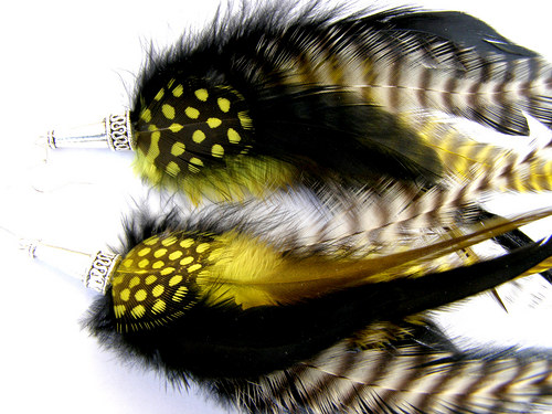 Yellow Zebra — foto 5