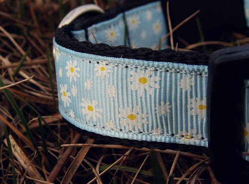 Světle modrý kytičkovaný obojek 25 - 35 cm — foto 2