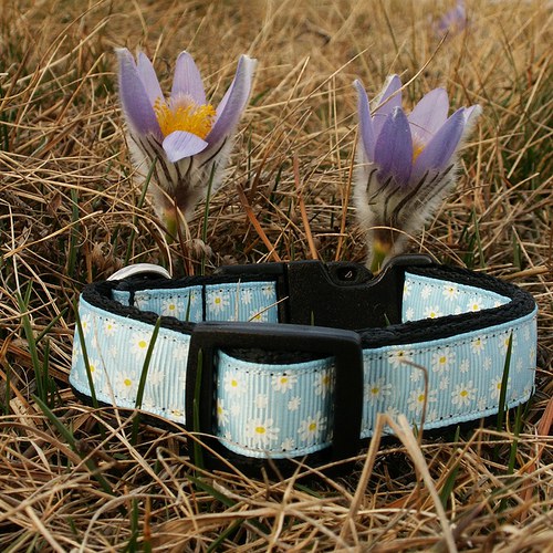 Světle modrý kytičkovaný obojek 25 - 35 cm — foto 3