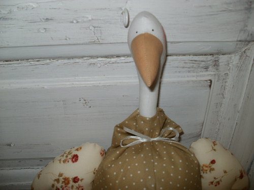 Krásná jarní husa — foto 3