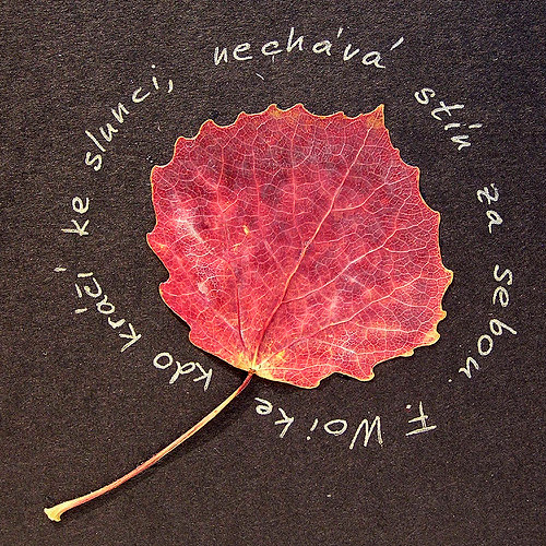 Kdo kráčí ke slunci — foto 2