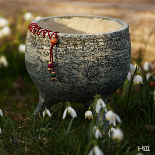 Obal na nožkách — foto 3