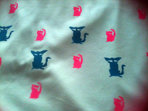 Cat pelerin — foto 5