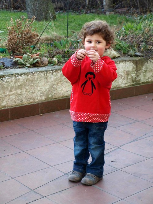 Mikina tygří — foto 5
