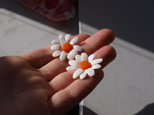 Kopretinky — foto 3