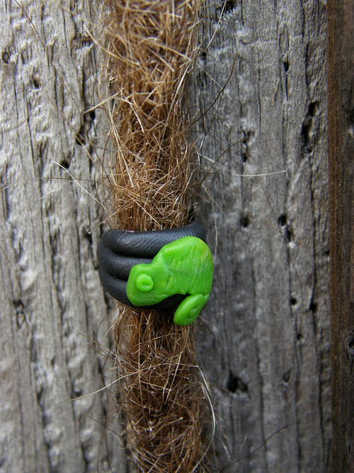 Chamík — foto 2