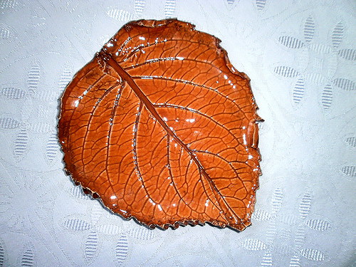 List na cokoli.... — foto 5
