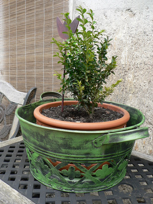 Lavor — foto 2