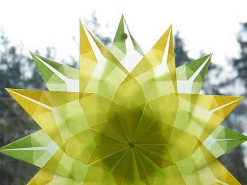 Narcis — foto 2