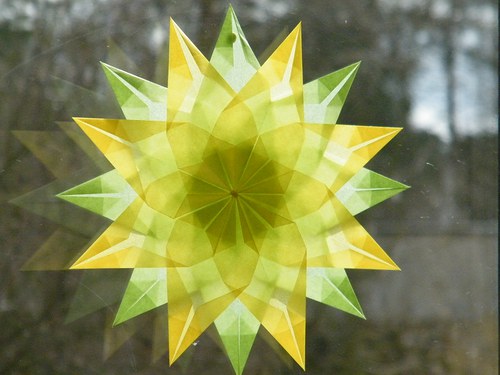 Narcis — foto 4
