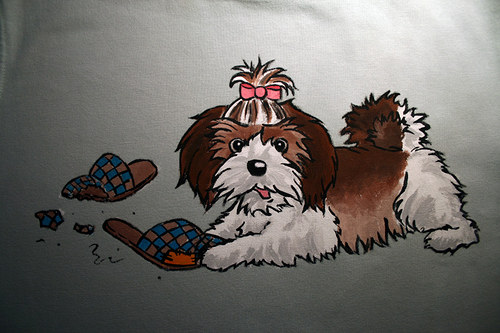 Shi-tzu — foto 3