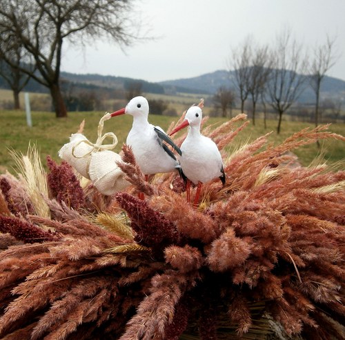 Ať přiletí čáp, královno! — foto 3