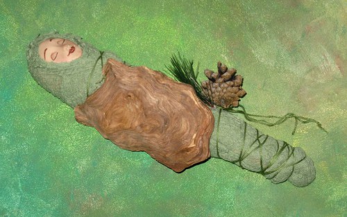 Kuklička víly borovicové — foto 3