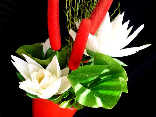 Dekorace design z planety Lekniaxiory — foto 2