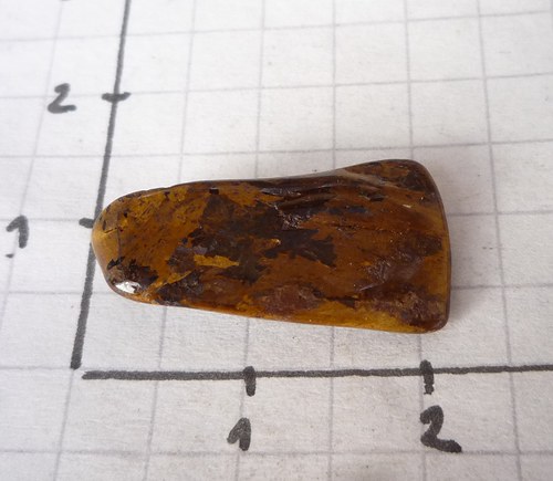 Bronzit L2028 — foto 3