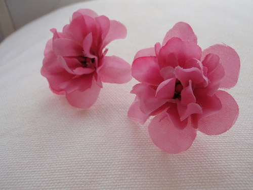 Flowers are singing — foto 2