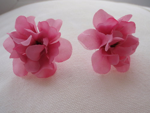 Flowers are singing — foto 3