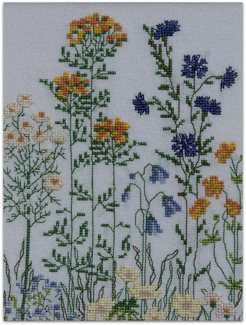 Louka — foto 2