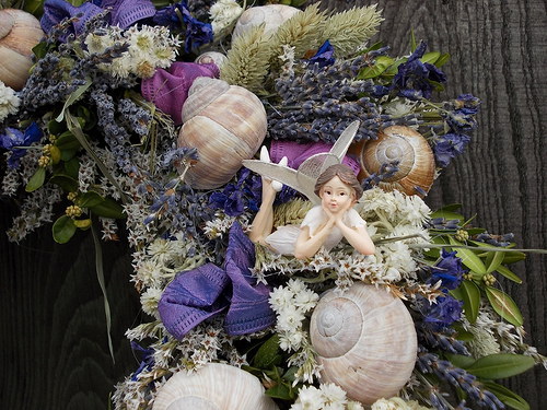 Víly prudce elegantní — foto 4