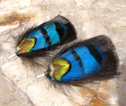 Beauty — foto 3