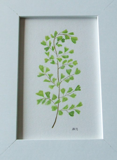 Netík — foto 2