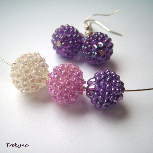 Maliny fialkové — foto 3