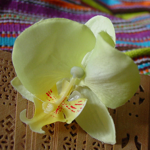 TydliALOHA — foto 4