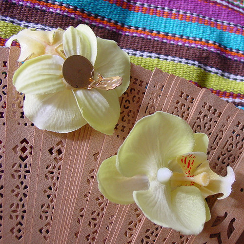 TydliALOHA — foto 3