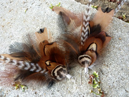 Natural pheasant — foto 2