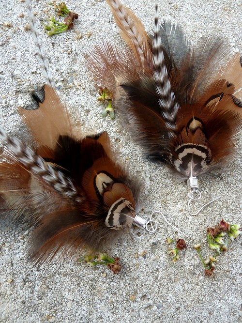 Natural pheasant — foto 3