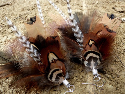 Natural pheasant — foto 4