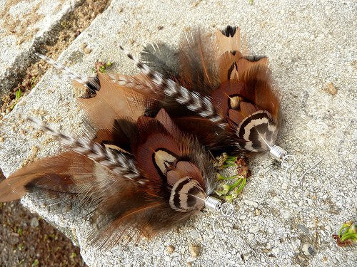 Natural pheasant — foto 5