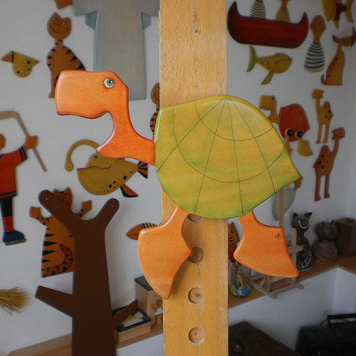Vodní želva — foto 3