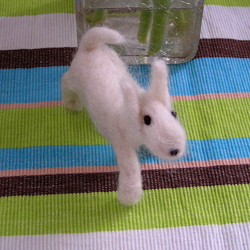 Bílý psík — foto 4