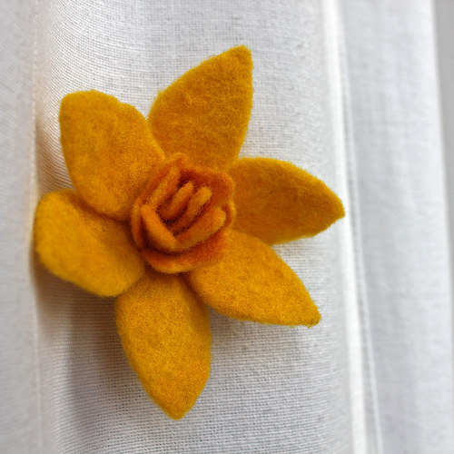 Narciska — foto 2