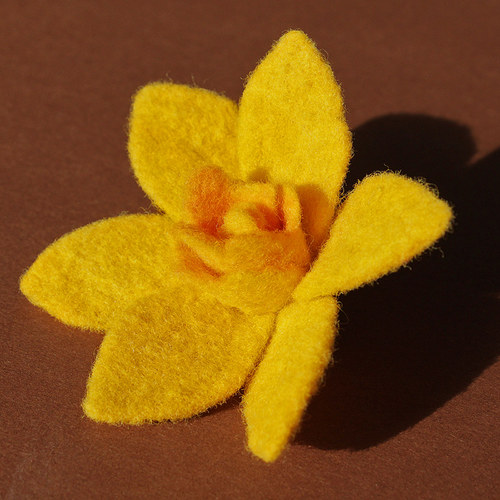Narciska — foto 3