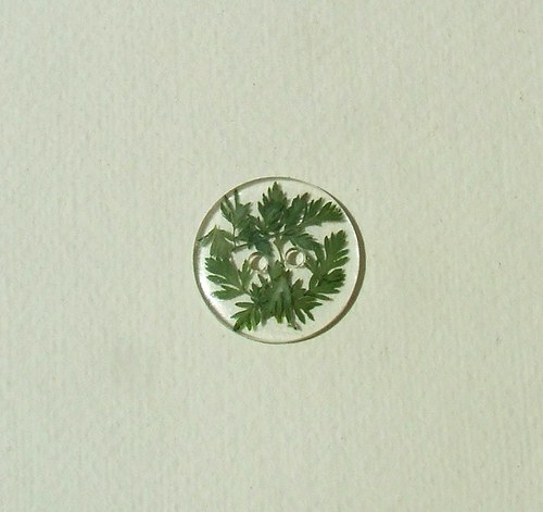 Lístečkový — foto 2