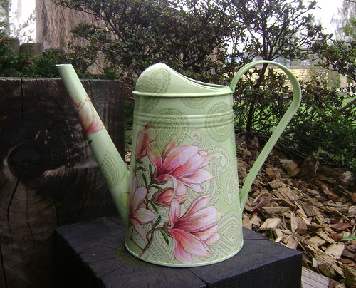 Magnolie — foto 3