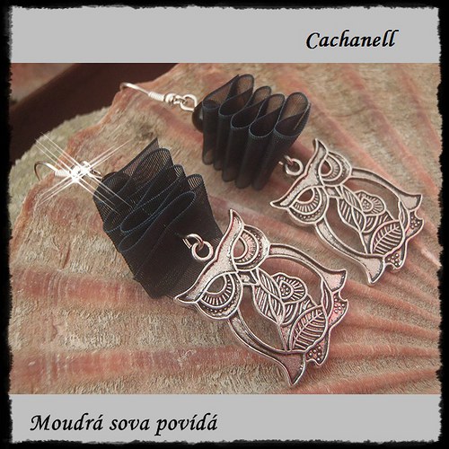 Moudrá sova povídá — foto 2
