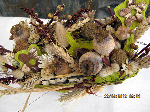 " Krakonošova zahrádka " — foto 6