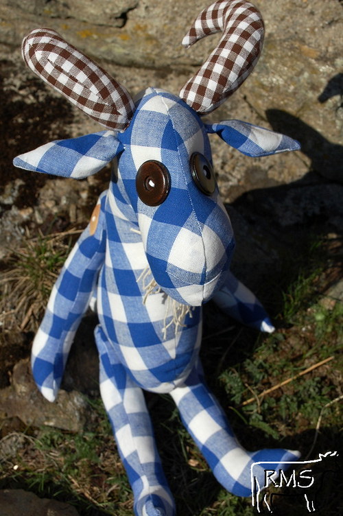 Kozel Arnošt — foto 5