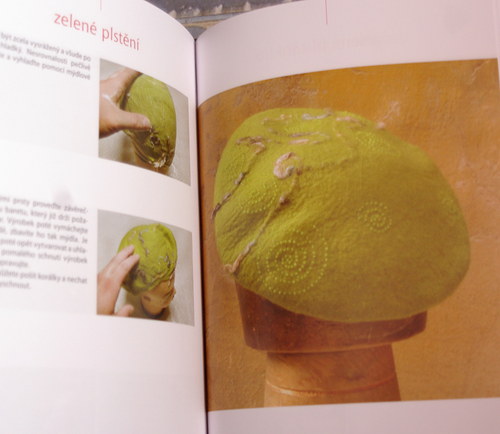 Kniha Mokré plstění — foto 2