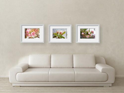 72. Sakura I - autorská fotografie — foto 3