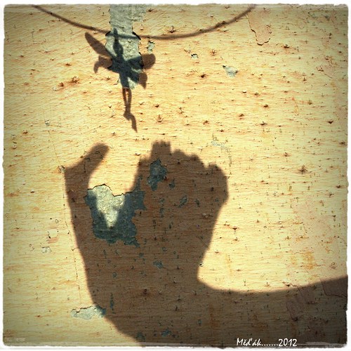 To vydržíš.... — foto 2