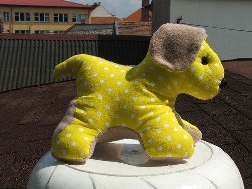 Pejsek — foto 6