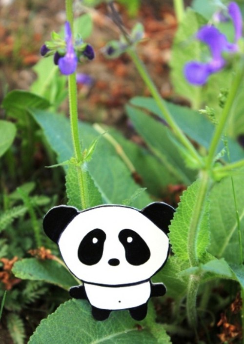 Pandí brož — foto 3