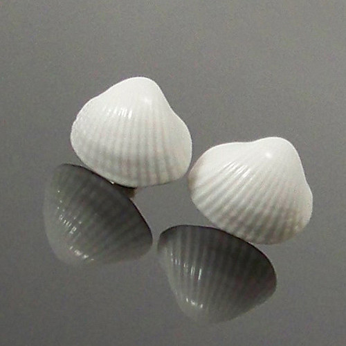 Sea Shell — foto 2