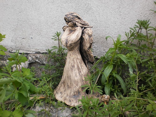 Anděl — foto 3